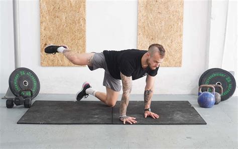 Image result for Contralateral Leg Raise