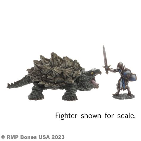 Image result for Dragon Snapping Turtle