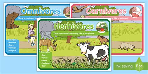 Herbivores Omnivores and Carnivores Posters | Ages 3–7