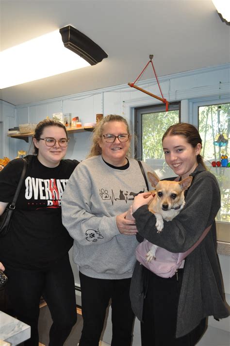 Chloe! – Morris Hills Veterinary Clinic