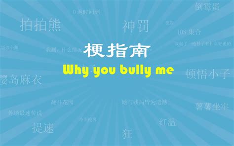 【CSGO梗指南】Why you bully me/why u bully me-CSGO梗指南-CSGO梗指南-哔哩哔哩视频