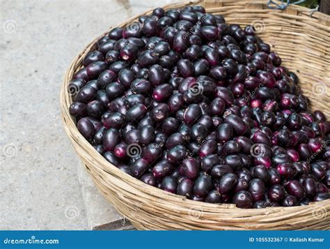 Jamun Fruit In English
