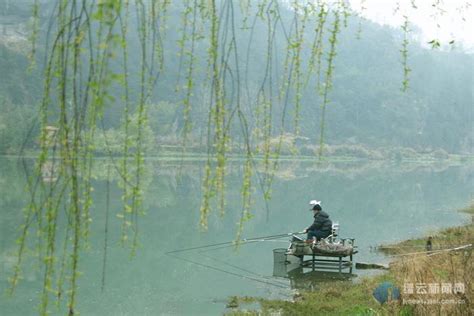 周记300字左右,周记300字,周记300字作文_大山谷图库