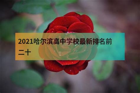 2021哈尔滨高中学校最新排名前二十 - 职教网