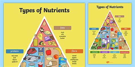 Types of Nutrients Pyramid Poster | Nutrients in Food