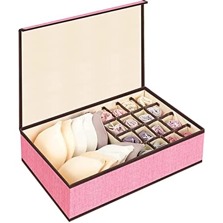 House of Quirk Innerwear Organizer 16+1 Compartment Non-Smell Non Woven ...