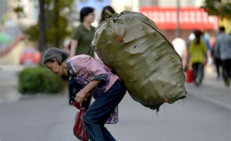81岁老太捡垃圾养四条命 民政局将其纳入关爱援助