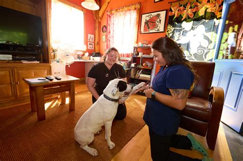 Our Veterinary Team in Addison County, VT | Addison County Mobile ...