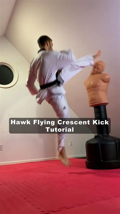 Image result for Flying Side Kick Tutorial