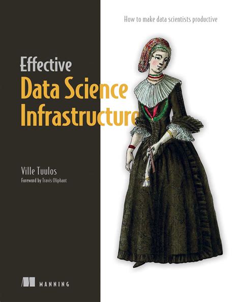 Effective Data Science Infrastructure eBook by Ville Tuulos | Official ...
