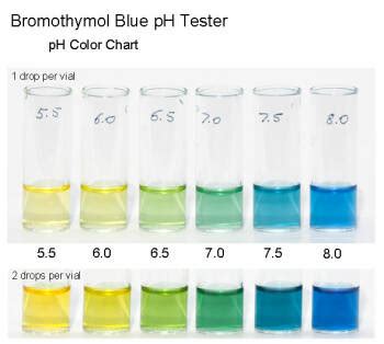 Image result for Bromothymol Blue Color Chart