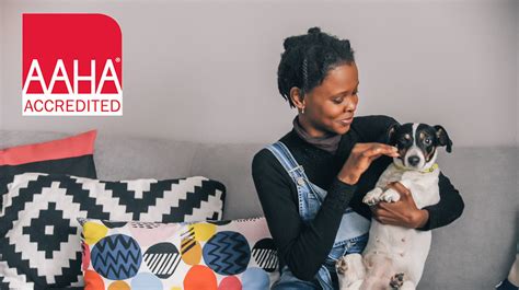 Campbell Park Animal Hospital