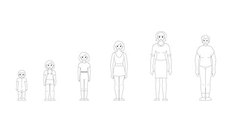 Stages of growing up of a girl, from baby to old man, vector black and ...