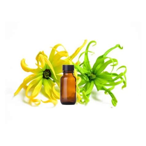 Buy Afroheal Ylang Ylang Essential Oil (Oil 500ML 058) Online at Low ...