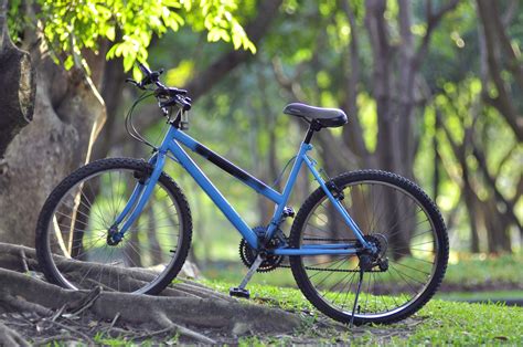 Bicycle Card Collection 的图像结果