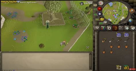 Image result for OSRS Tree Patches