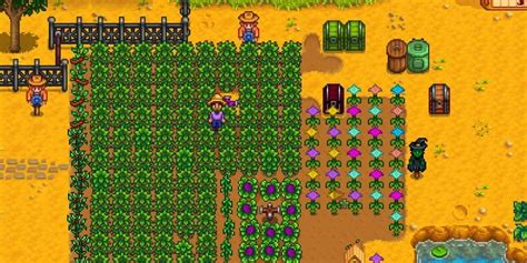 10 Most Profitable Crops In Stardew Valley, Ranked (2026)