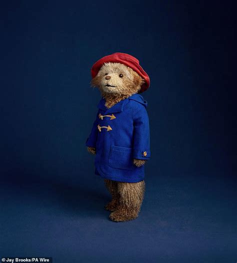 Song about 'migrant' Paddington Bear set to battle it out with ...