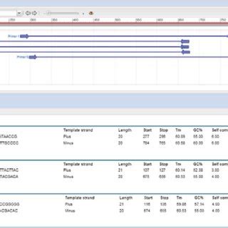 Image result for Multiplex PCR Primer Design
