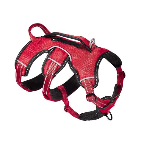 Tuff Pupper Tracker No Escape Dog Harness, Dual Attachment Points ...