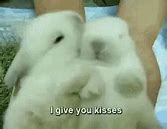 Image result for Animal Gifs That Are Very Cute Bunnies