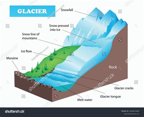 Diagramme De Glacier Glacier Movement Diagram & Formation Beachside