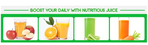 Buy Electric Juicer Fruits Cold Press Squeezer Manual Citrus Juicers ...