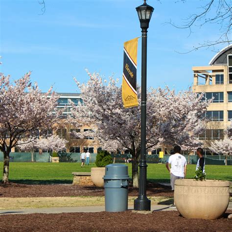 Kennesaw State University - Admission Requirements, SAT, ACT, GPA and ...