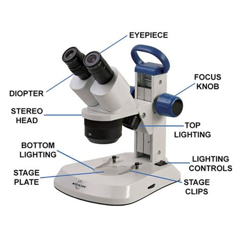 Image result for Stereo Microscope Uses