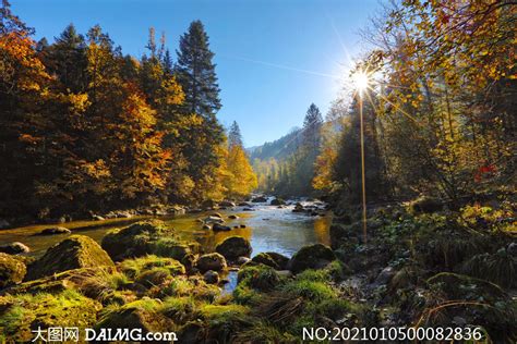 山中流水的小溪高清图片下载-正版图片300378276-摄图网