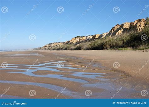 What Is Playa In English