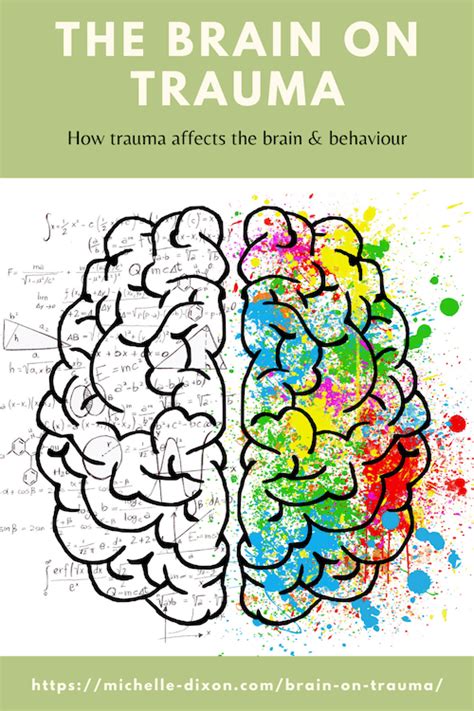 Image result for Trauma Brain Development