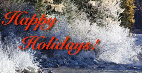 Image result for Fast Raw Viewer Tutorials