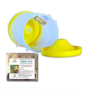Fruit Fly Trap + Bactrocera dorsalis Pheromone Lure (Combo Pack of 2 ...