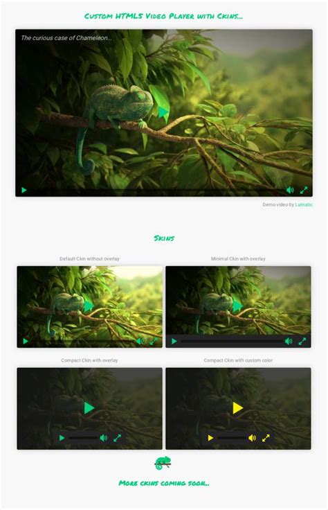 HTML MP4 Player 的图像结果