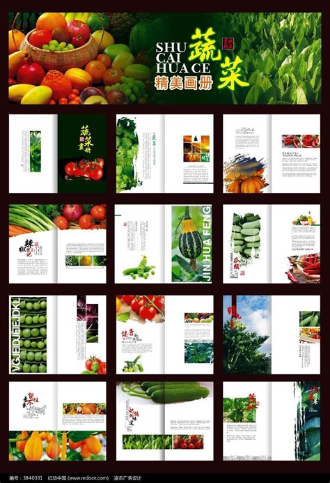 蔬菜粮油门市设计图__广告设计_广告设计_设计图库_昵图网nipic.com