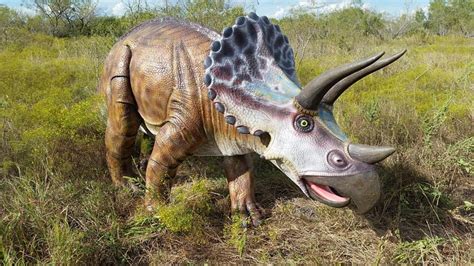 SPACETIME PARK (2025) All You Need to Know BEFORE You Go (with Photos ...