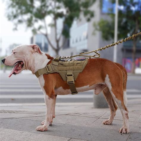 EXCELLENTELITESPANKER EXCELLENT ELITE SPANKER Tactical Military Dog ...
