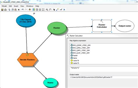Raster Calculator ArcGIS 的图像结果