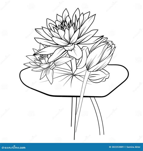Sketch Water Lily Drawing, Hand Drawn Sketch Water Lily Drawing, Lily ...