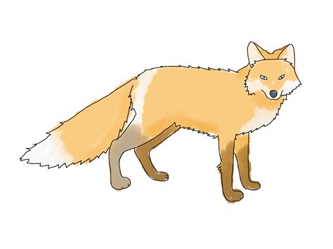 How To Draw A Fox With Pencil at Darrell Day blog