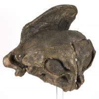 The Prop Gallery | Wardrobe