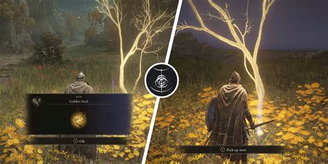 Elden Ring: All Limgrave Golden Seed Locations | Screen Rant