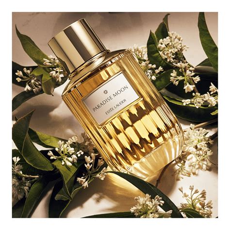 Paradise Moon Eau De Parfum • 100ml