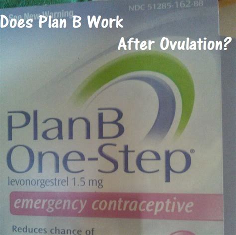Can Plan B Be Taken Before Or After Ovulation? – OHCRM