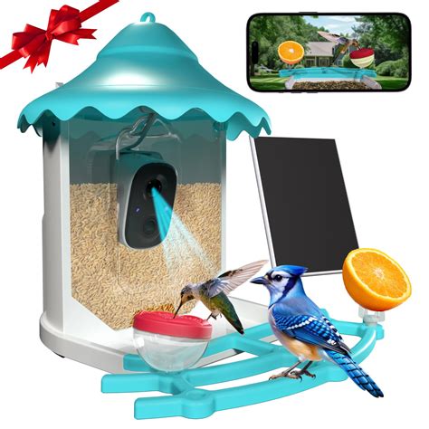 Amazon.com : BirdsView Solar Powered Bird Feeder with 2K Ai Camera ...