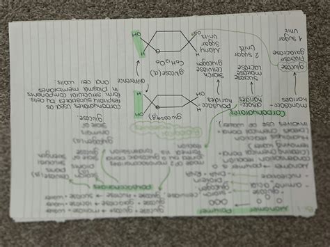 Biochemistry MindMap 的图像结果