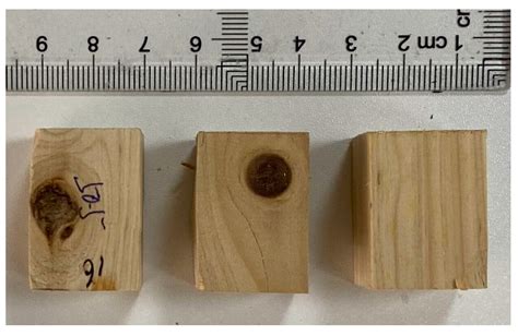 Influence of Wood Knots of Chinese Weeping Cypress on Selected Physical ...