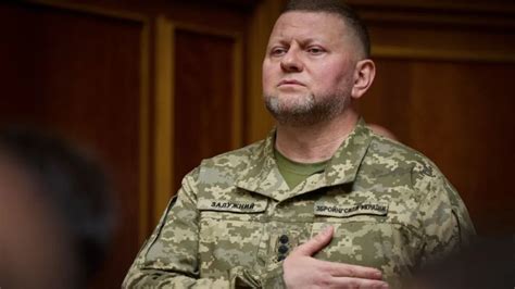 媒体：泽连斯基决定解除乌军总司令扎卢日内的职务_凤凰网