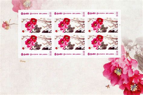 Sri Lanka Peony Flower Miniature Sheet with Stamp – Banknotecoinstamp